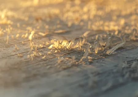 Peeling wood