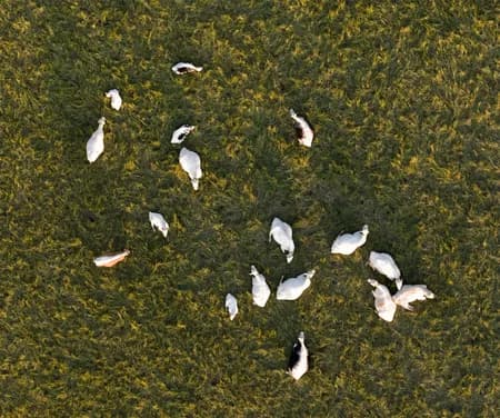 Eiker Gårdsysteri  and the surrounding area