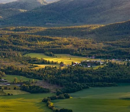 Eiker Gårdsysteri  and the surrounding area