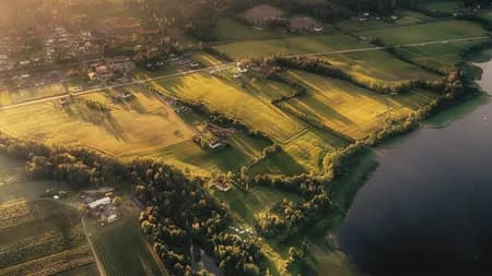 Darbu fields 2020 Late Summer