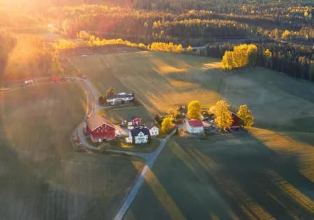 Darbu fields 2020 Late Summer