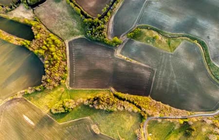 Darbu fields 2020 Late Summer