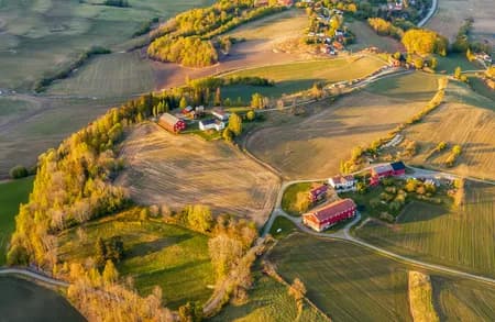 Darbu fields 2020 Late Summer