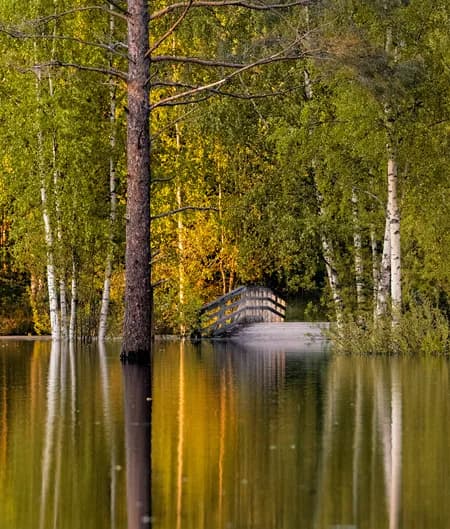 Flood at Hokksund Camping 2023