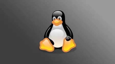 Linux Logo