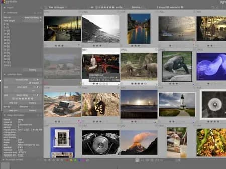 darktable Update 5.2