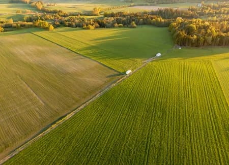 Hokksund and Skotsmoen 2021 Spring