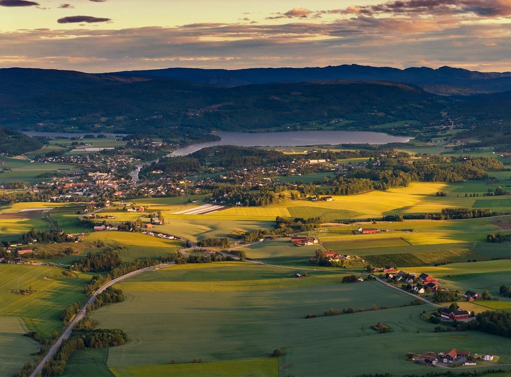 Vestfossen fields summer 2025