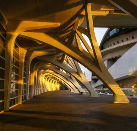 City of Arts and Sciences 2023