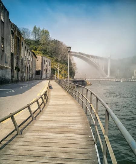 Porto Ponte da Arrábida 2025