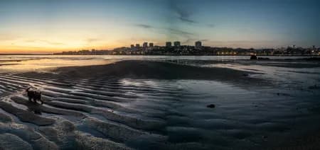 Porto Vila Nova de Gaia night 2025